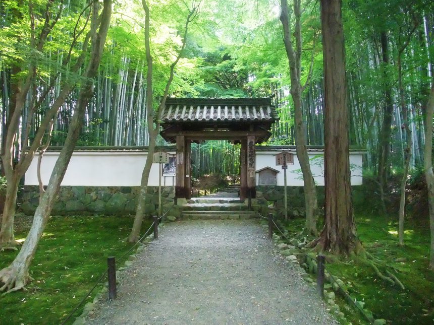 竹の寺（地蔵院）